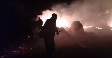 (ВИДЕО) Над 20 куќи и плевни изгореа во Чаниште
