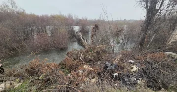 Изместување на коритото на Црна Река го загрозува патот кон Трстеник