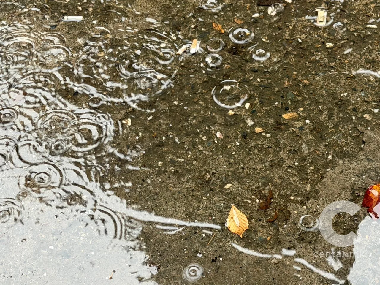 НЕВРЕМЕ НА ДЕЛ ОД ТЕРИТОРИЈАТА: Западот и југот со пообилни врнежи и засилен ветер