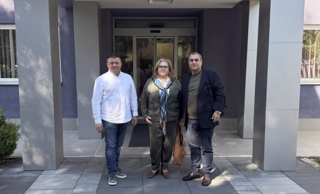 Ивановски, Петровска и Начевски доставија предлози за структурни промени во СДСМ: „На безидејноста одговараме со прецизен план“