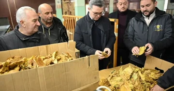 Откупени се 25,3 милиони килограми тутун во вредност од 170 милиони евра, вели министерот Трипуновски