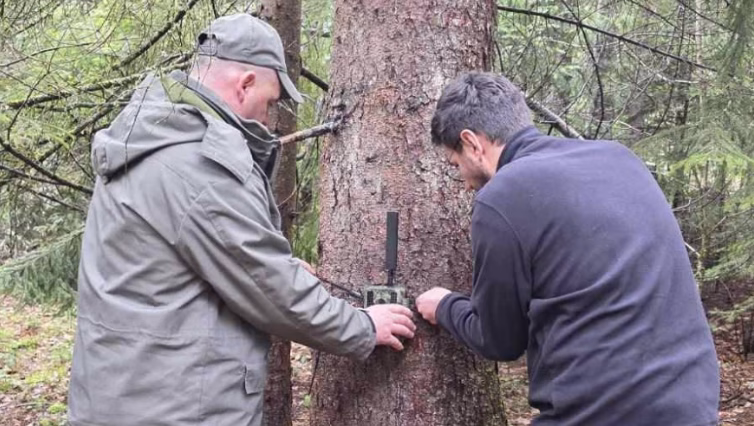 40 камери поставени во „Пелистер“ за следење на дивиот свет