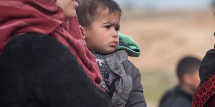 ОН: Највисок седмичен биланс насилства во Појасот Газа од примирјето договорено во октомври