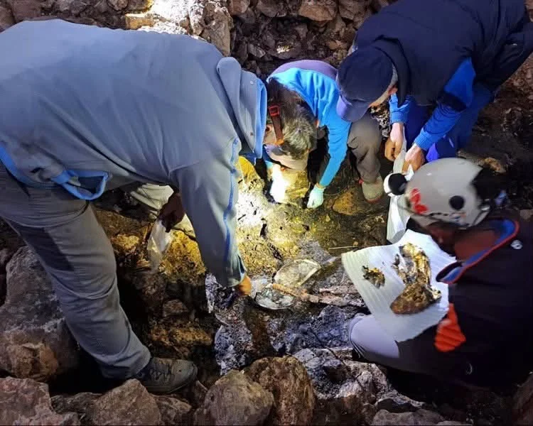 Нови пронајдоци на локалитетот Расница: Откриено богато војничко погребување од VI век
