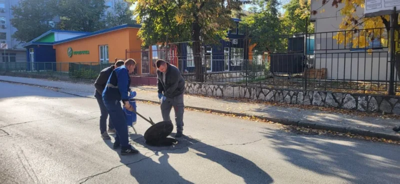 Есенска дератизација во Општина Кисела Вода