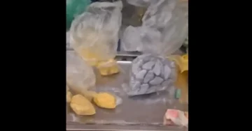 ПРОНАЈДЕНА ДРОГА НА ПОВЕЌЕ ЛОКАЦИИ: Полицијата уапси девет лица