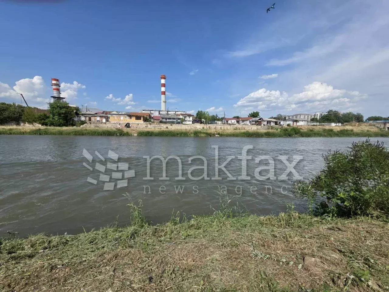(Фото) Куче врзано со камен оставено во водите на Вардар