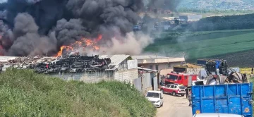 (ФОТО) ПОЖАР ВО ВИЗБЕГОВО: Горат стари автомобили, противпожарните екипи на терен