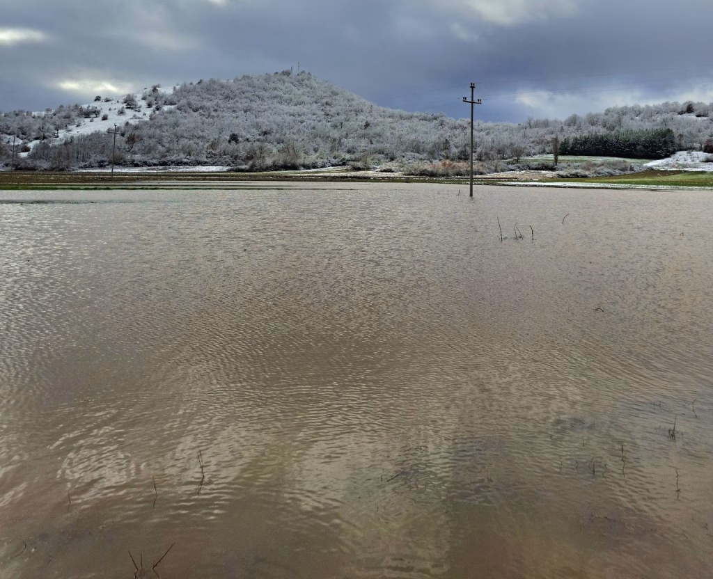 „ОВА Е НАШИОТ ЛЕБ, А СЕГА Е ЕЗЕРО“: Очај во демирхисарско Бараково – Црна Река ги проголта нивите со пченица