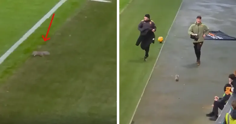 Редари бркаа верверичка во англиска лига