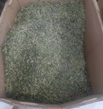 Кои компании останаа без лиценца за одгледување канабис и од кои причини?