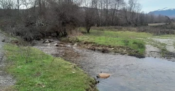 ЦУК: Состојбата по обилните врнежи е стабилна низ целата држава