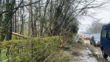 (ВИДЕО) БУРАТА ВО ХРВАТСКА НЕ СТИВНУВА: Затворени патишта кон Далмација, стотици интервенции на терен