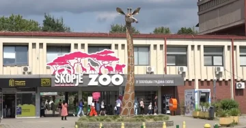 Град Скопје стартуваше со јубилејната програма за 100 години Скопје ЗОО