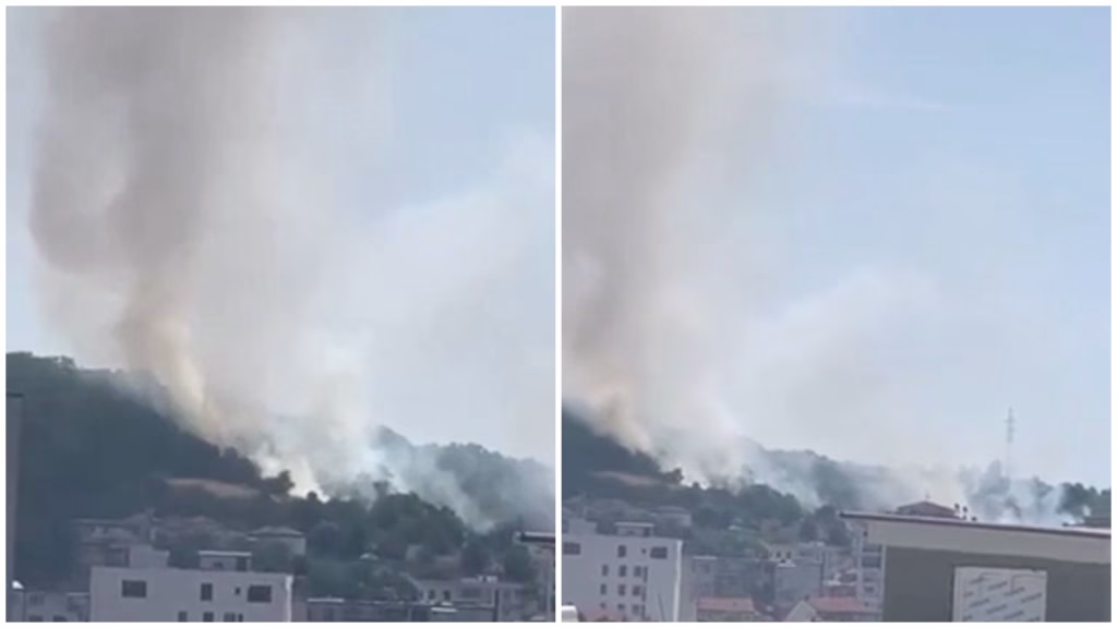 ФОТО Гори парк-шумата во Гази Баба, пожарникарите интервенираат на терен