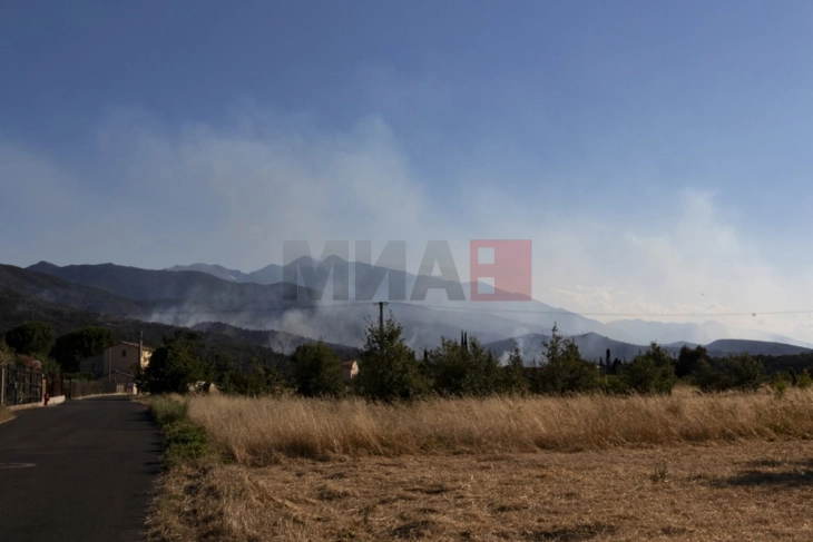 Во шумските пожари во Франција изгореа 17.000 хектари земјиште