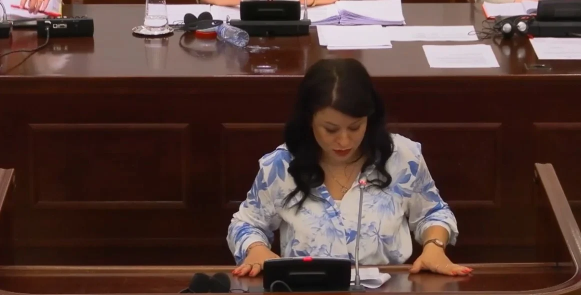 (Видео) „ДПМНЕ ги одби амандманите на Левица за заштита на жртвите на сексуално и семејно насилство“