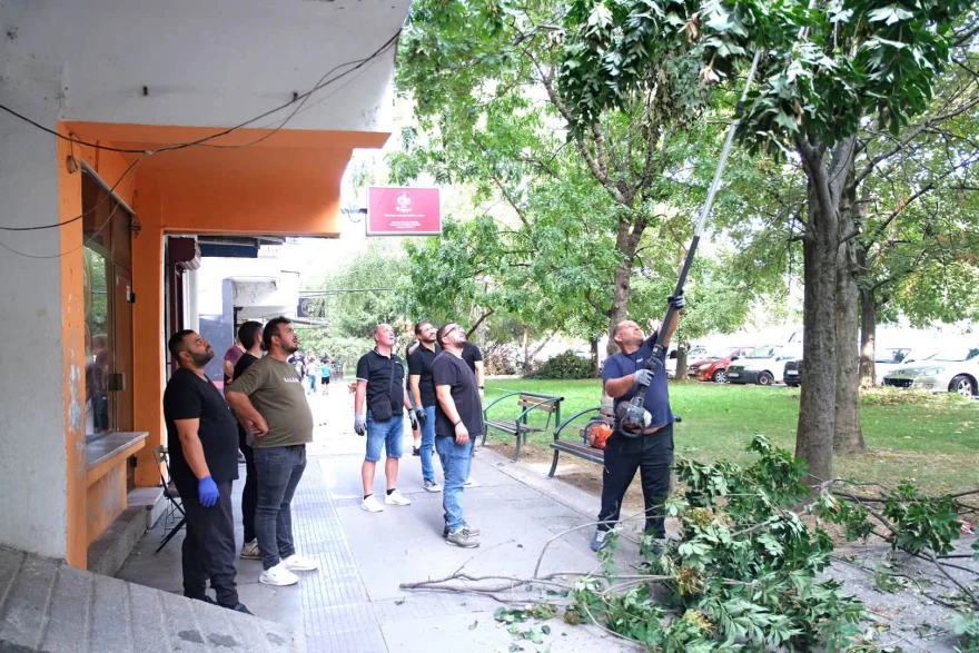 Карпошани во акција, чистеа јавни површини на три локации
