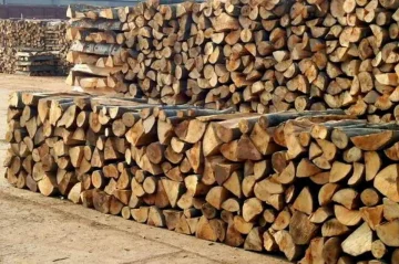 ТРАГЕДИЈА: Почина момче по несреќа при сеча на дрва