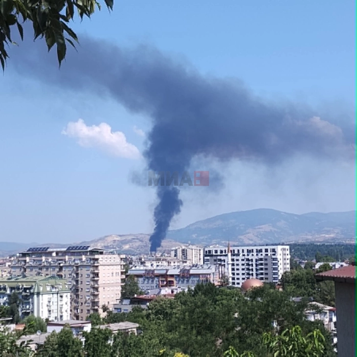 Гори дива депонија во Шуто Оризари, пожарникарите интервенираат на терен
