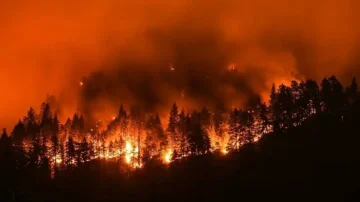 ДАЛМАЦИЈА ПОД ОГАН: Пожари беснеат на Хвар, кај Шибеник и во близина на Црна Гора