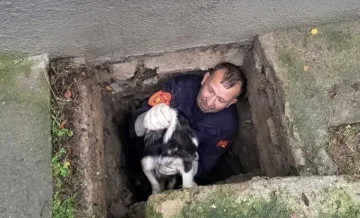 СПАСУВАЧКА АКЦИЈА НА ПОЖАРНИКАРИТЕ: Спасено куче кое паднало во шахта