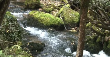 ИСТРАГА ЗА ЗАГАДУВАЊЕТО НА ВОДАТА ЗА ПИЕЊЕ: Машини затекнати при кршење и транспорт на карпи кај изворите во Шум