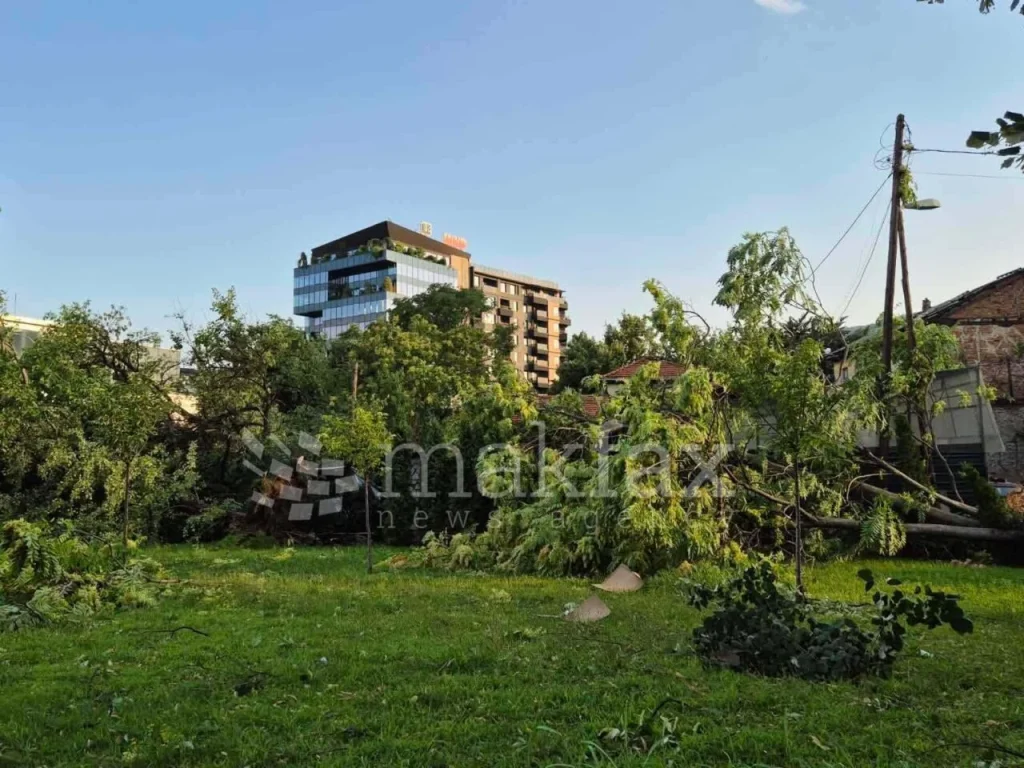 (Фото) Откорнати дрвја, покриви, искинати кабли, непроодни улици по невремето во делови од Скопје