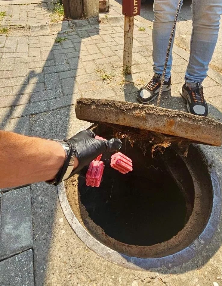 Герасимовски: Во понеделник спроведуваме нова вонредна дератизација во Центар, претходната беше спроведена пред само еден месец