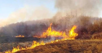 ФАТЕНИ НА ЛИЦЕ МЕСТО КАКО ПОТПАЛУВАЛЕ ПОЖАРИ: Уапсени две лица од Битола и Прилеп
