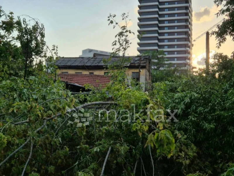(Фото) Откорнати дрвја, покриви, искинати кабли, непроодни улици по невремето во делови од Скопје