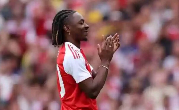 Езе на принудна пауза