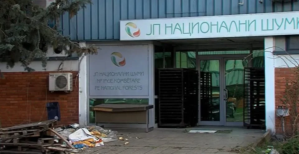 Кривична за поранешен директор на „Национални шуми“, на шест фирми им продал поевтини дрва