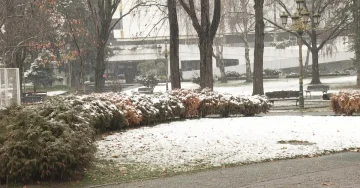 КАКВА ЌЕ БИДЕ ЗИМАТА ВО МАКЕДОНИЈА: Студени бранови кон крајот на декември до средината на јануари и крајот на февруари