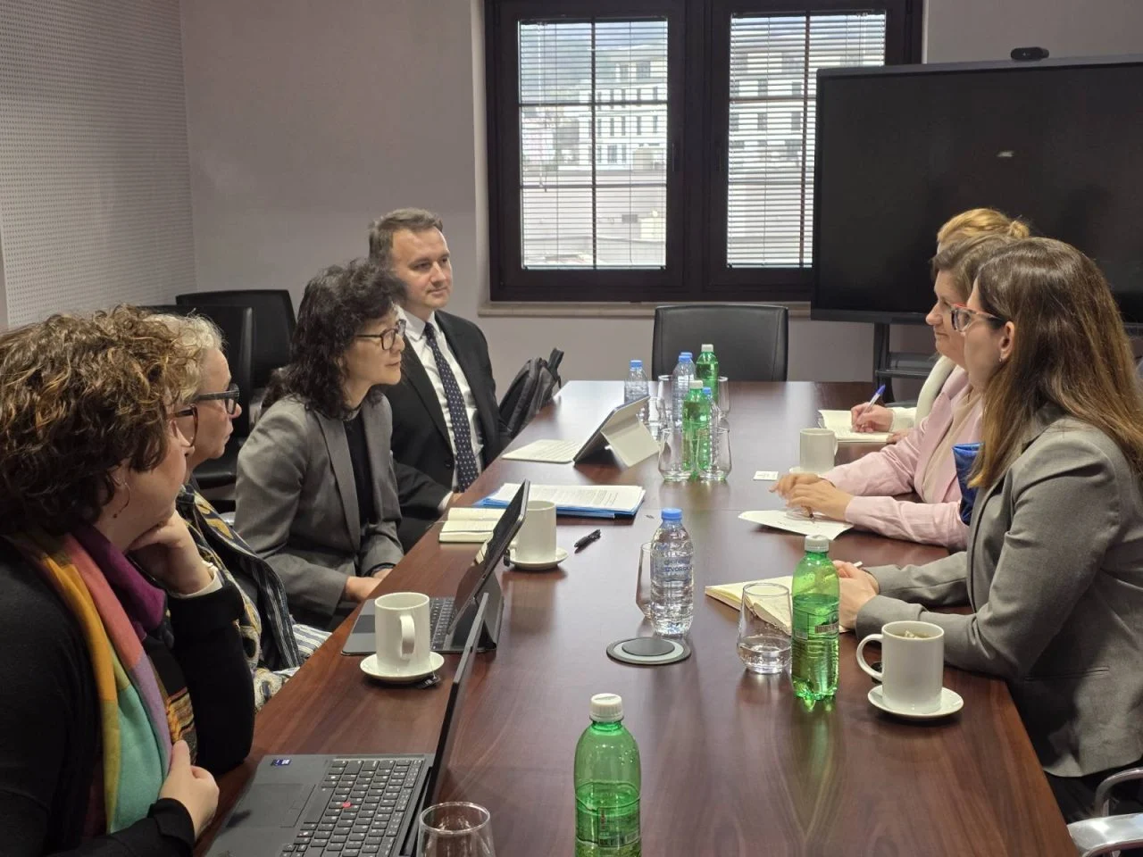 Божиновска-Ју: Модернизацијата во енергетиката и зелената транзиција клучни за енергетска одржливост