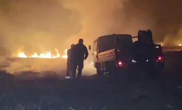КУЌИТЕ ВО ЛОЗНАНИ СПАСЕНИ ОД ОГНОТ: Пожарот сега се шири кон други села, пожарникарите се сомневаат дека жариштата се подметнати