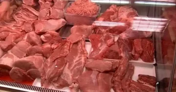 АХВ СО ВОНРЕДНИ КОНТРОЛИ ВО МАРКЕТИТЕ: Уништени се над 253 килограми храна, изречени 22 казни во вредност од 40.000 евра