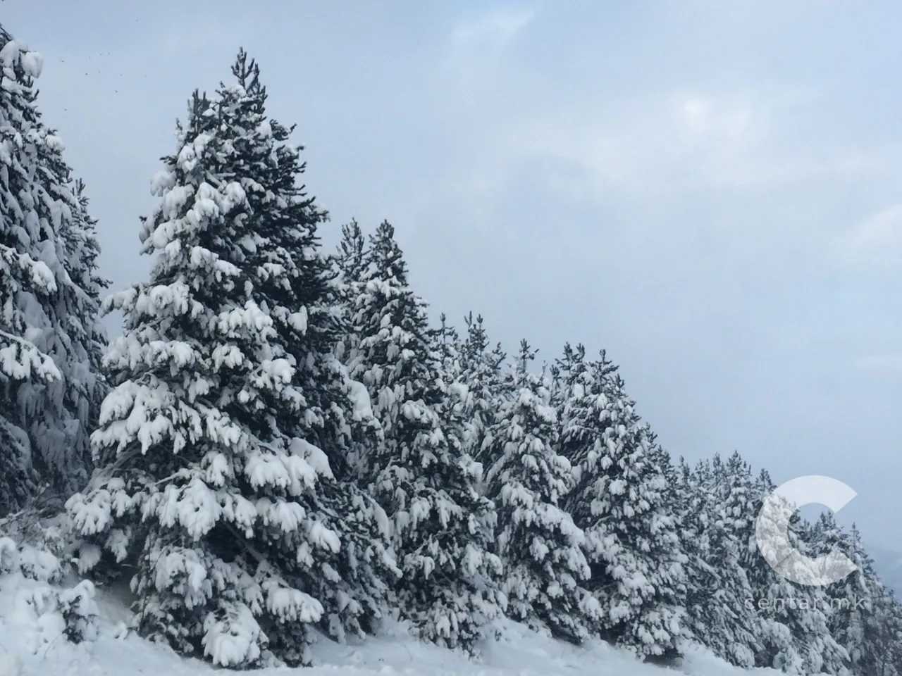 СНЕГ ВРНЕ ВО ДЕЛОВИ ОД МАКЕДОНИЈА: Еве каква е ситуацијата на патиштата низ републиката