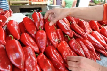 ОТКУПУВАЧИТЕ ПОД ЛУПА: Контроли во 30 откупни центри на земјоделски и градинарски производи,