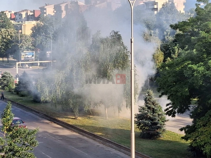 МВР:Автомобил во движење се запали на булеварот „Јане Сандански“