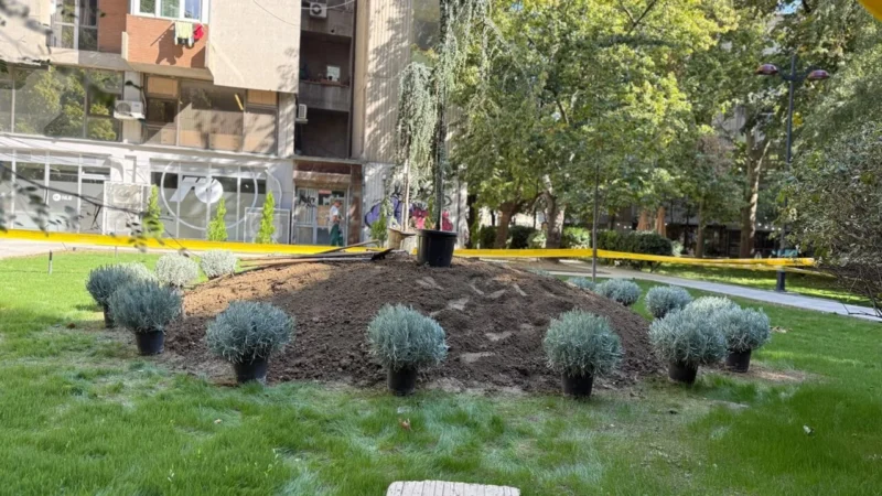 Паркот во Градски ѕид добива нови садници, детско игралиште и теретана на отворено