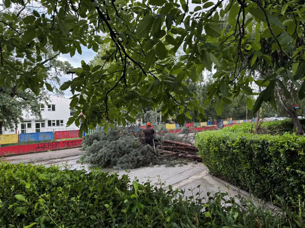 15 повредени во Скопје по силното невреме, две лица со потешки повреди