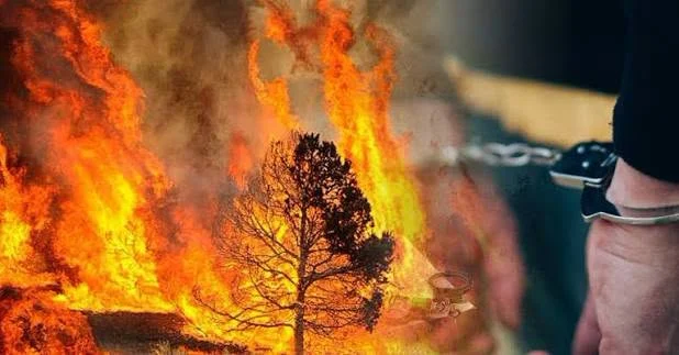 Запалиле поголема количина кабли и предизвикале пожар на депонија кај Буково: тројца уапсени
