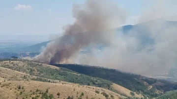 ПОВЕЌЕ ОД 20 ПОЖАРИ НИЗ ЗЕМЈАВА: Најголемиот дел од нив сè уште се активни