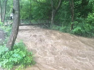 Реките со енормен пораст по обилните дождови – Треска четири, а Вардар два и пол пати над просекот