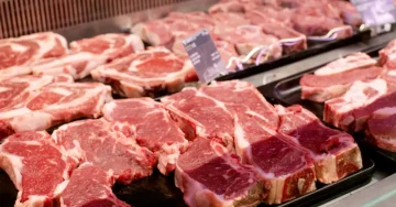 ПРОНАЈДЕНИ ТРАГИ ОД ЗАБРАНЕТ ХОРМОН: Контаминирано месо од Бразил завршило во месарници низ Европа?