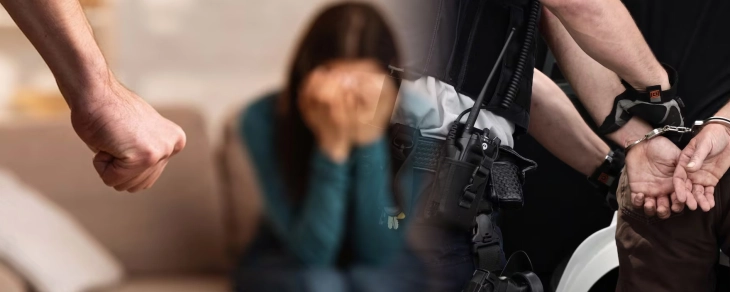 Шест лица лишени од слобода за семејно насилство, вкупно седум пријави во последното деноноќие