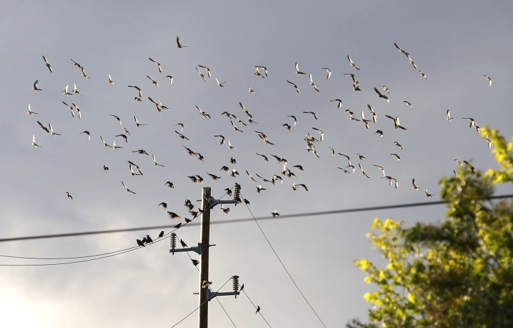 Ниски утрински температури, преку ден сончево со температури до 16 степени