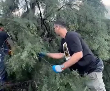 (ВИДЕО) СТОЈКОСКИ СО ЕКИПИТЕ НА ТЕРЕН: Општина Ѓорче Петров мобилизирана по невремето