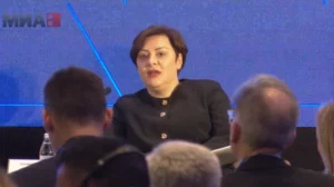 Димитриеска-Кочоска: Како држава одлично се справуваме со состојбите, лесно е да се донесат сет мерки, но треба да се внимава да не се подгрее инфлаци…